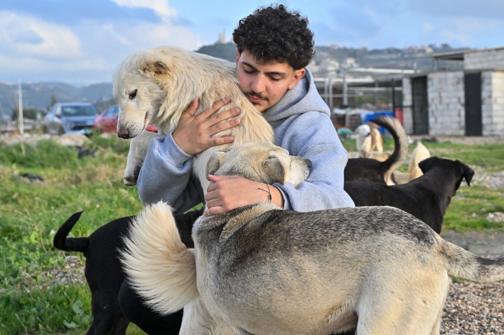 A Pitiless War Leaves Behind Voiceless Lives